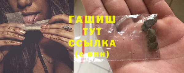 прущие грибы Алзамай
